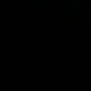 Meet your Posher, Michele